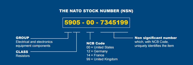 Dosya:Şekil 4 NSN Yapısı.png